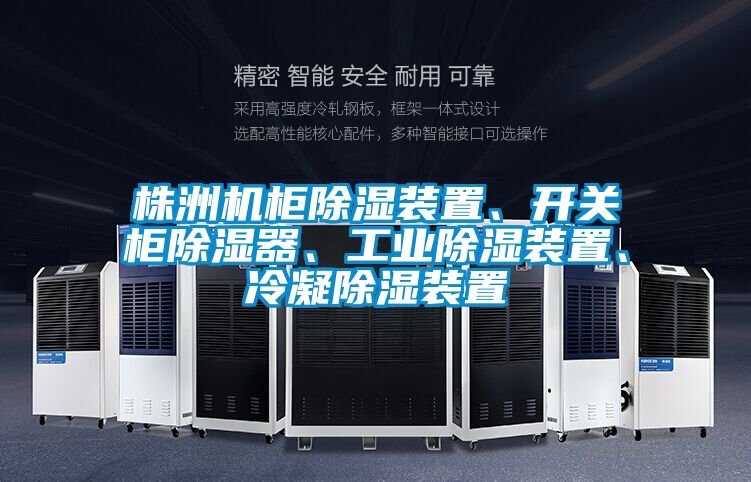 株洲机柜除湿装置、开关柜除湿器、工业除湿装置、冷凝除湿装置
