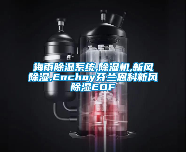 梅雨除湿系统,除湿机,新风除湿,Enchoy芬兰恩科新风除湿EDF