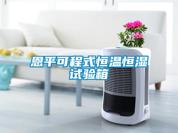 恩平可程式恒温恒湿试验箱