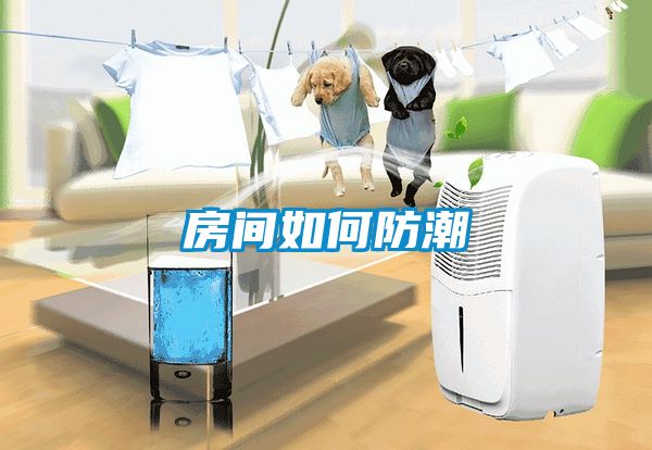 房间如何防潮