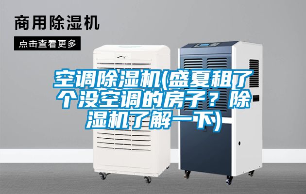 空调除湿机(盛夏租了个没空调的房子？除湿机了解一下)
