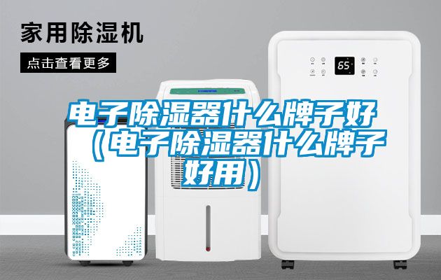 电子除湿器什么牌子好（电子除湿器什么牌子好用）