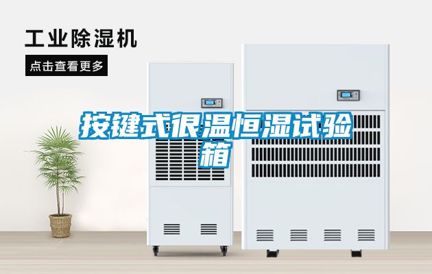 按键式很温恒湿试验箱