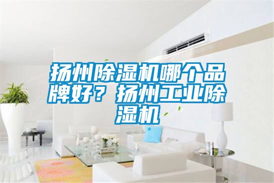 扬州除湿机哪个品牌好？扬州工业除湿机
