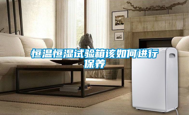 恒温恒湿试验箱该如何进行保养