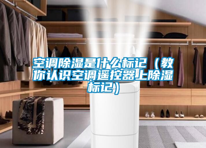 空调除湿是什么标记（教你认识空调遥控器上除湿标记）
