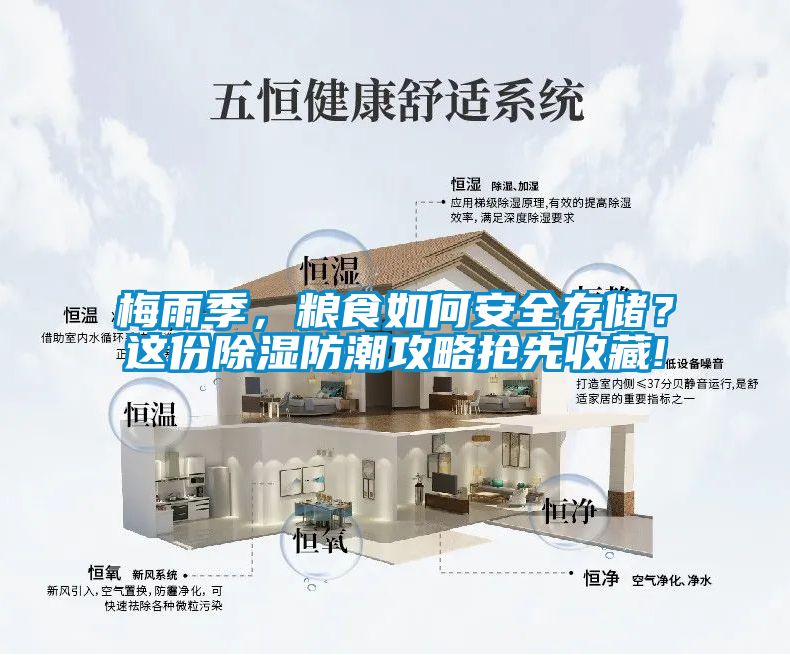 梅雨季，粮食如何安全存储？这份除湿防潮攻略抢先收藏!