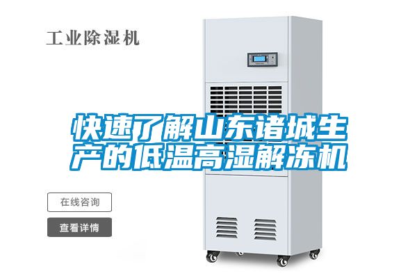 快速了解山东诸城生产的低温高湿解冻机