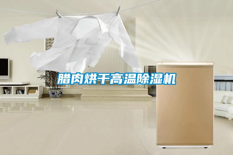 腊肉烘干高温除湿机