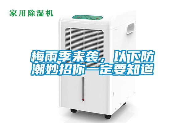 梅雨季来袭，以下防潮妙招你一定要知道