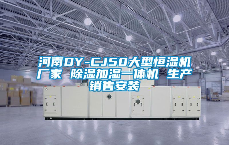 河南DY-CJ50大型恒湿机厂家 除湿加湿一体机 生产销售安装