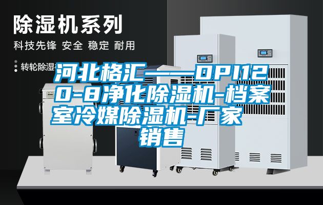 河北格汇——DPI120-8净化除湿机-档案室冷媒除湿机-厂家  销售