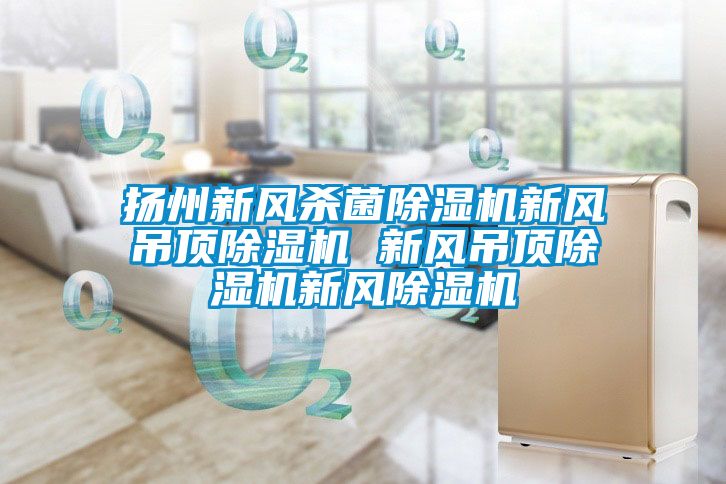 扬州新风杀菌除湿机新风吊顶除湿机 新风吊顶除湿机新风除湿机