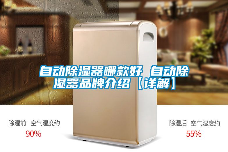 自动除湿器哪款好 自动除湿器品牌介绍【详解】