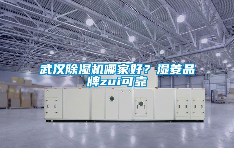 武汉除湿机哪家好？湿菱品牌zui可靠