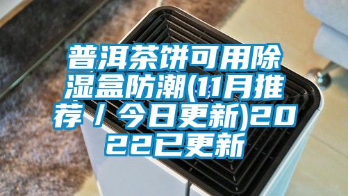 普洱茶饼可用除湿盒防潮(11月推荐／今日更新)2022已更新