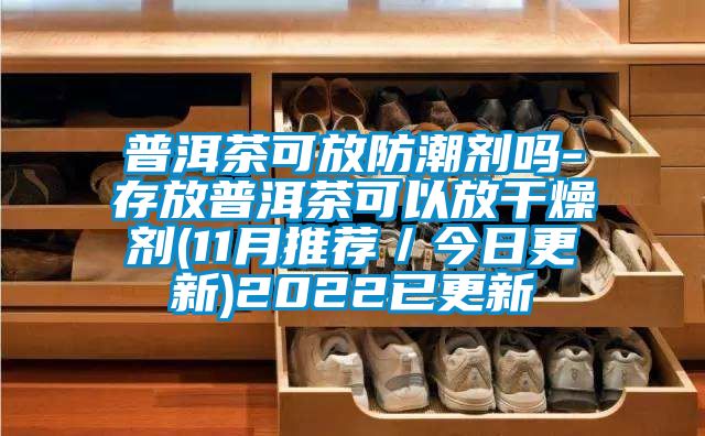 普洱茶可放防潮剂吗-存放普洱茶可以放干燥剂(11月推荐／今日更新)2022已更新