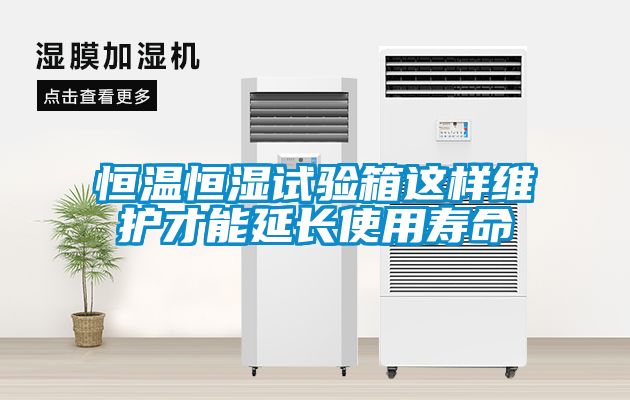 恒温恒湿试验箱这样维护才能延长使用寿命