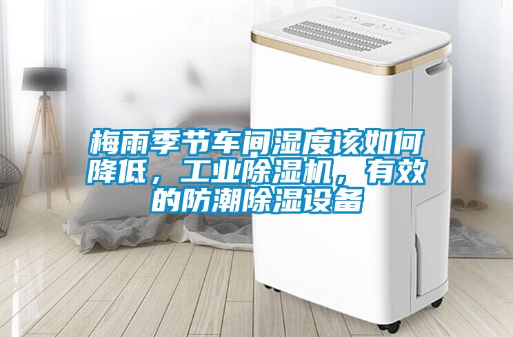 梅雨季节车间湿度该如何降低，工业除湿机，有效的防潮除湿设备