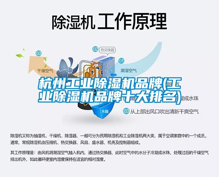 杭州工业除湿机品牌(工业除湿机品牌十大排名)