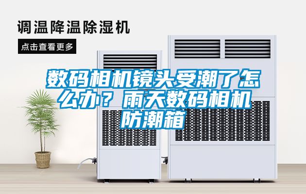 数码相机镜头受潮了怎么办？雨天数码相机防潮箱
