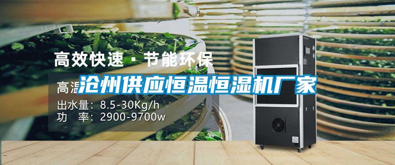 沧州供应恒温恒湿机厂家