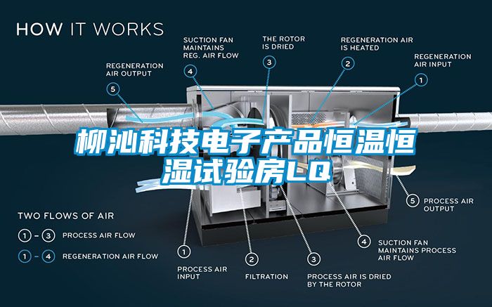 柳沁科技电子产品恒温恒湿试验房LQ