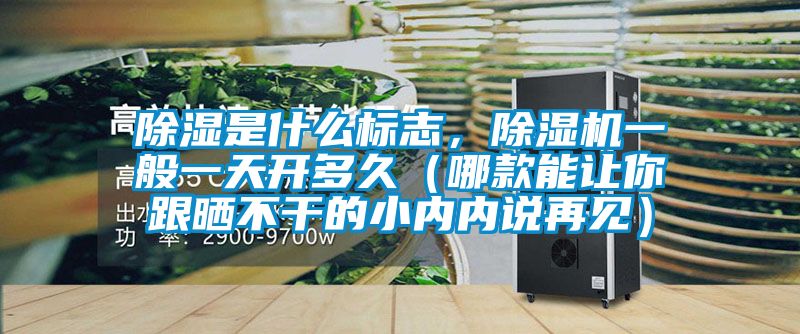 除湿是什么标志，除湿机一般一天开多久（哪款能让你跟晒不干的小内内说再见）