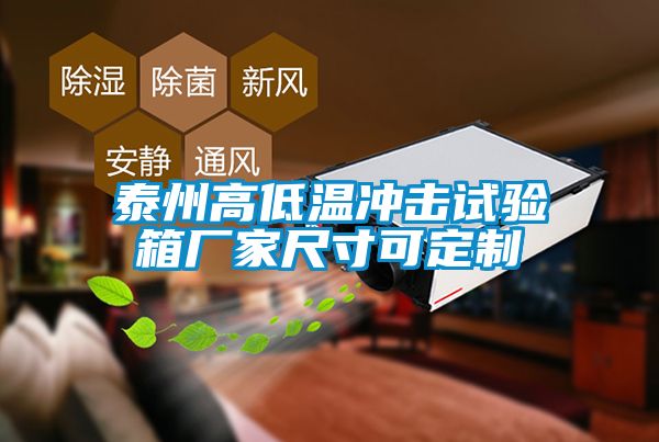 泰州高低温冲击试验箱厂家尺寸可定制