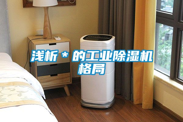 浅析＊的工业除湿机格局