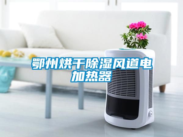 鄂州烘干除湿风道电加热器