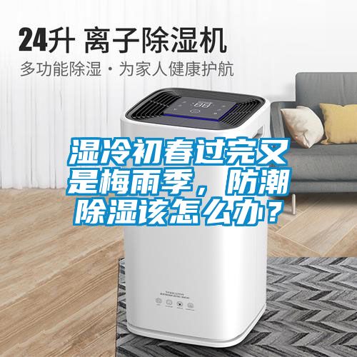 湿冷初春过完又是梅雨季，防潮除湿该怎么办？