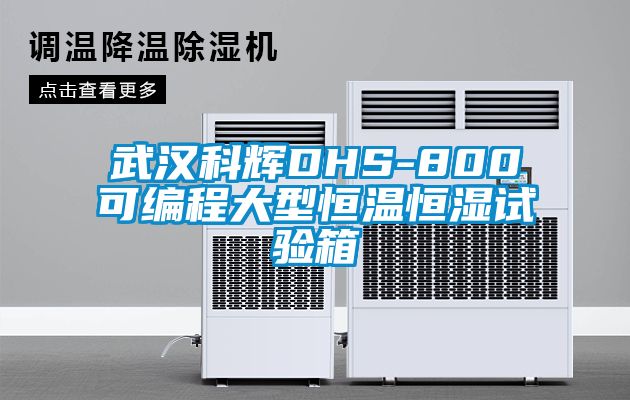 武汉科辉DHS-800可编程大型恒温恒湿试验箱
