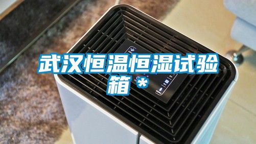 武汉恒温恒湿试验箱＊