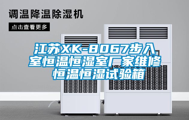 江苏XK-8067步入室恒温恒湿室厂家维修 恒温恒湿试验箱