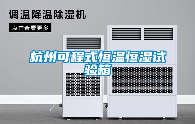 杭州可程式恒温恒湿试验箱