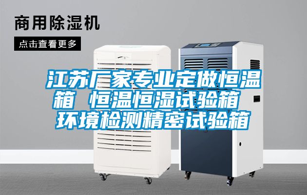 江苏厂家专业定做恒温箱 恒温恒湿试验箱 环境检测精密试验箱