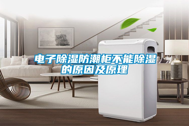 电子除湿防潮柜不能除湿的原因及原理
