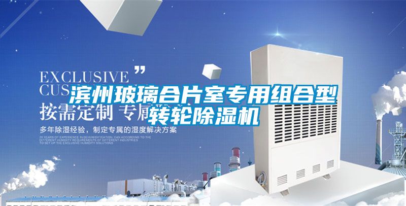 滨州玻璃合片室专用组合型转轮除湿机