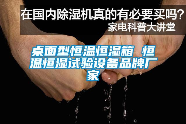 桌面型恒温恒湿箱 恒温恒湿试验设备品牌厂家