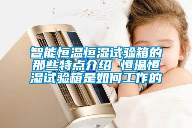 智能恒温恒湿试验箱的那些特点介绍 恒温恒湿试验箱是如何工作的