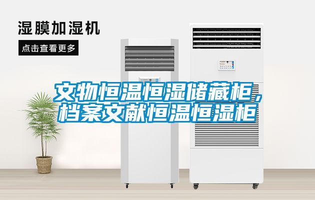 文物恒温恒湿储藏柜，档案文献恒温恒湿柜