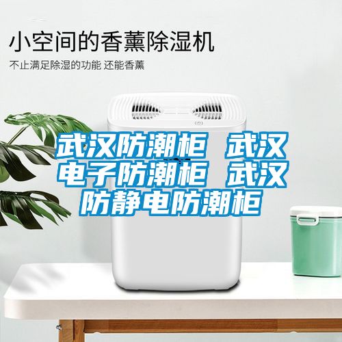 武汉防潮柜 武汉电子防潮柜 武汉防静电防潮柜