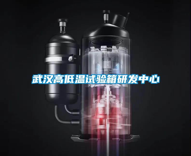 武汉高低温试验箱研发中心