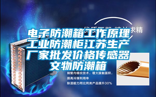 电子防潮箱工作原理工业防潮柜江苏生产厂家批发价格传感器文物防潮箱