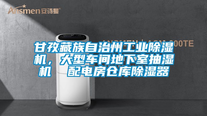 甘孜藏族自治州工业除湿机，大型车间地下室抽湿机  配电房仓库除湿器