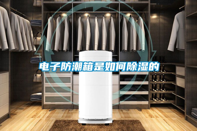 电子防潮箱是如何除湿的