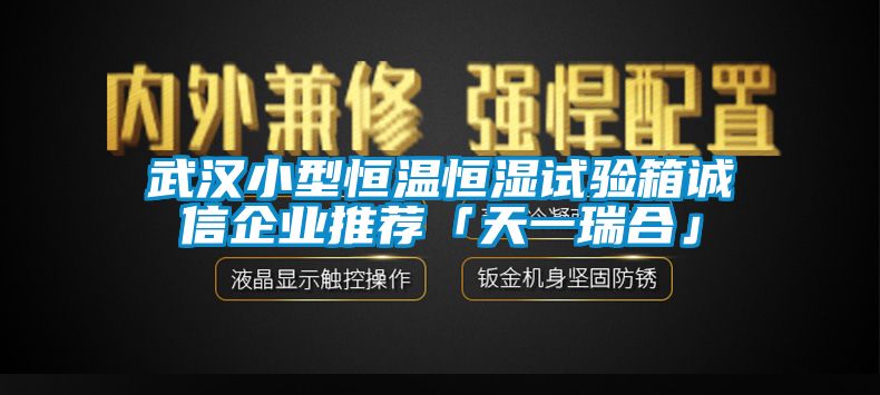 武汉小型恒温恒湿试验箱诚信企业推荐「天一瑞合」