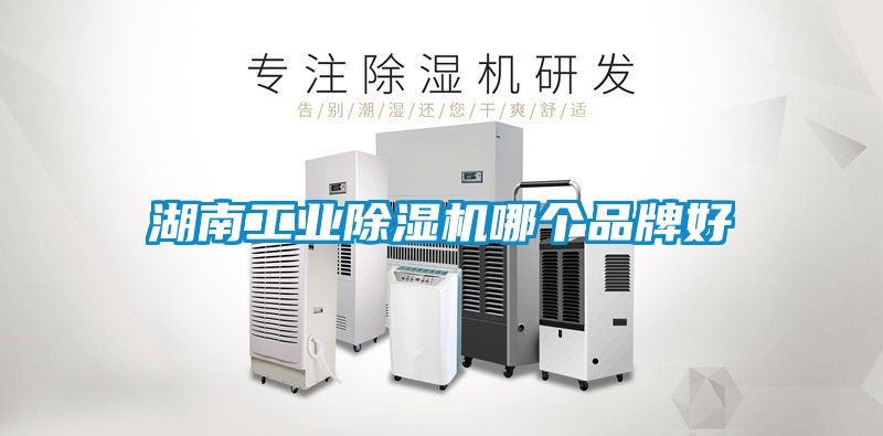 湖南工业除湿机哪个品牌好
