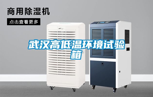 武汉高低温环境试验箱